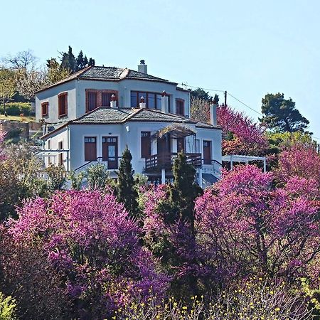 Apartamento Stolios Skopelos Exterior foto