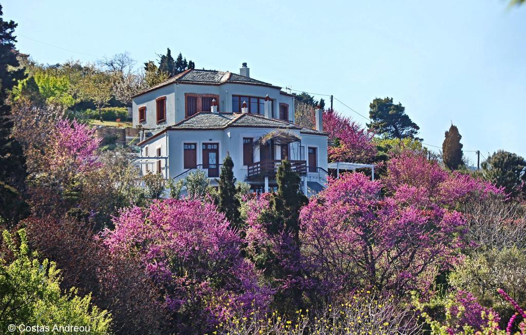 Apartamento Stolios Skopelos Exterior foto